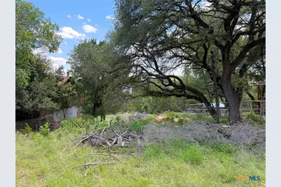 273 Scenic Drive, Canyon Lake, TX 78133 - Photo 4