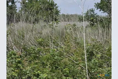 Lot 270 Guadalupe River Road, Tivoli, TX 77990 - Photo 4