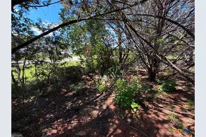 560 Hummingbird Hill, Canyon Lake, TX 78133 - Photo 6