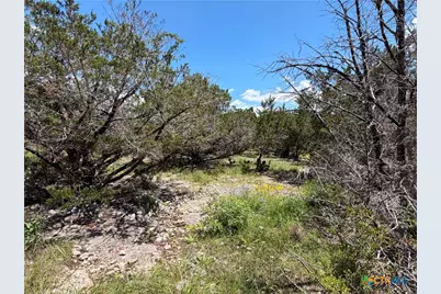 560 Hummingbird Hill, Canyon Lake, TX 78133 - Photo 12