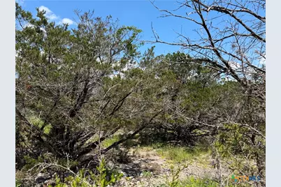 560 Hummingbird Hill, Canyon Lake, TX 78133 - Photo 10