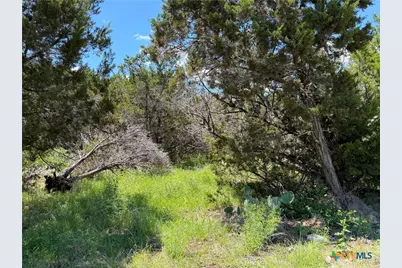 1841 Canyon Lake Drive, Canyon Lake, TX 78133 - Photo 6