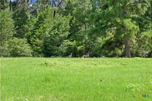 Tbd (Tracts 11 & 12) St Delight, Paige, TX 78659 - Photo 2