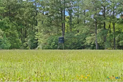 Tbd (Tracts 11 & 12) St Delight, Paige, TX 78659 - Photo 22