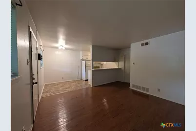 165 Richter Lane, New Braunfels, TX 78130 - Photo 6