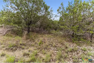 293 River Cliff Place, Spring Branch, TX 78070 - Photo 12