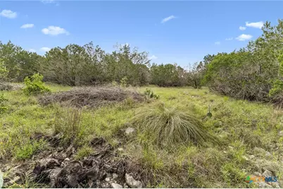 293 River Cliff Place, Spring Branch, TX 78070 - Photo 10