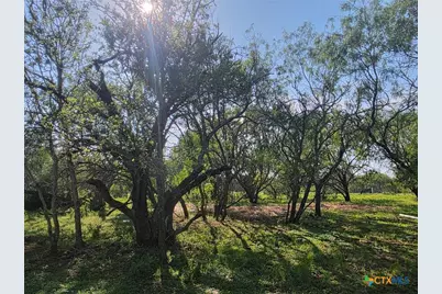 766 Rawhide Road, Seguin, TX 78155 - Photo 8