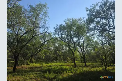 766 Rawhide Road, Seguin, TX 78155 - Photo 6