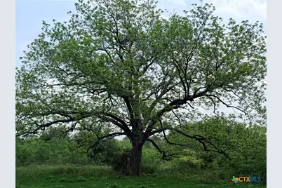 Tbd Fm 86, Luling, TX 78648 - Photo 6