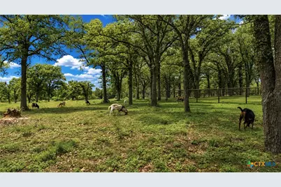 4450 Old Seguin Luling Road, Seguin, TX 78155 - Photo 20
