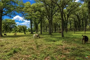 4450 Old Seguin Luling Rd, Seguin, TX 78155 - Photo 20