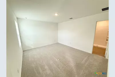 311 Moscato Road, New Braunfels, TX 78130 - Photo 14