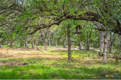 377 Buffalo Springs Road, New Braunfels, TX 78132 - Photo 8