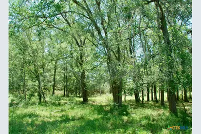 1070 Muehr Road, Weimar, TX 78962 - Photo 18