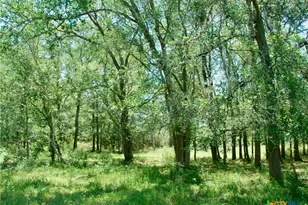1070 Muehr Rd, Weimar, TX 78962 - Photo 18