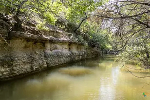 1233 Co Rd 434, Hamilton, TX 76531 - Photo 14