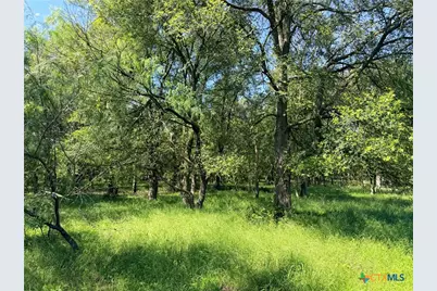 Tbd Fm 86, Luling, TX 78648 - Photo 8