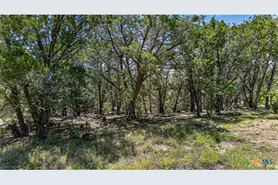600 Lorne Road, Canyon Lake, TX 78133 - Photo 1