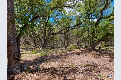 Tbd Forest View Drive #1, Blanco, TX 78606 - Photo 8