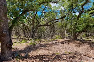 Tbd Forest View Dr, Blanco, TX 78606 - Photo 8