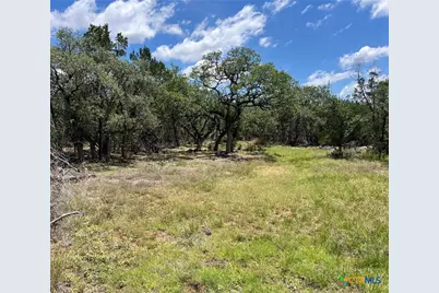 Tbd Forest View Drive #1, Blanco, TX 78606 - Photo 4