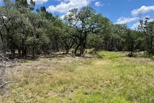 Tbd Forest View Dr, Blanco, TX 78606 - Photo 4