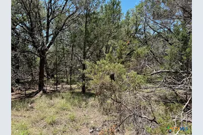 Tbd Forest View Drive #1, Blanco, TX 78606 - Photo 10