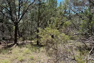Tbd Forest View Dr, Blanco, TX 78606 - Photo 10