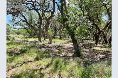 Tbd Forest View Drive #1, Blanco, TX 78606 - Photo 6