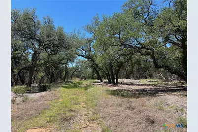 Tbd Forest View Drive #1, Blanco, TX 78606 - Photo 14