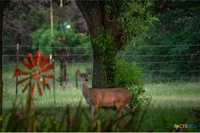 1618 County Road 2480, Hico, TX 76457 - Photo 8