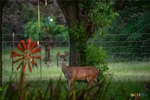 1618 Co Rd 2480, Hico, TX 76457 - Photo 8