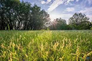 1618 Co Rd 2480, Hico, TX 76457 - Photo 16