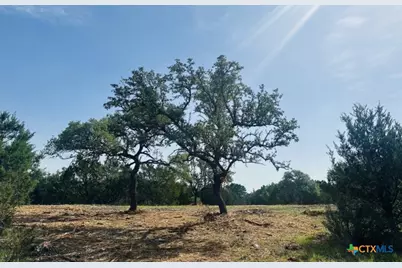 Tbd Lot 4 Rojo Lane, Burnet, TX 78605 - Photo 10