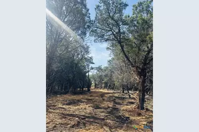 Tbd Lot 24 Hank Williams Way, Burnet, TX 78605 - Photo 8