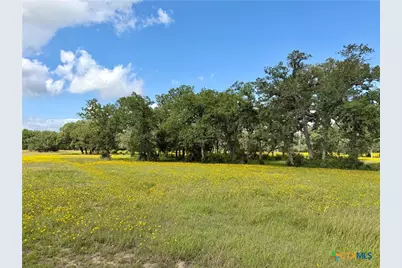 15631 Fm 682 - Tract C, Yoakum, TX 77995 - Photo 10