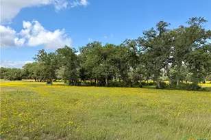 15631 Fm 682 - Tract C, Yoakum, TX 77995 - Photo 10