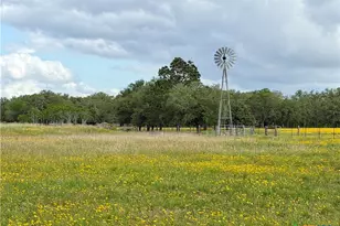 15631 Fm 682 - Tract C, Yoakum, TX 77995 - Photo 8