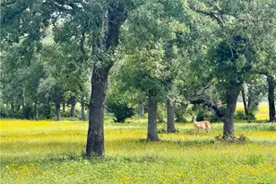 15631 Fm 682 - Tract C, Yoakum, TX 77995 - Photo 2