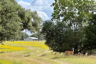 15631 Fm 682 - Tract C, Yoakum, TX 77995 - Photo 4