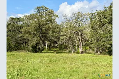 15631 Fm 682 - Tract D, Yoakum, TX 77995 - Photo 4