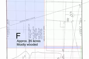 15631 Fm 682 - Tract F, Yoakum, TX 77995 - Photo 10