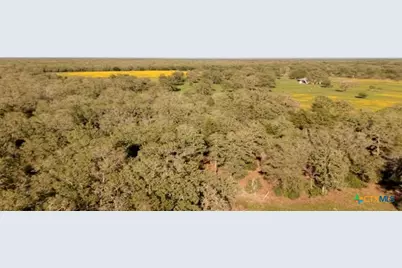 15631 Fm 682 - Tract F, Yoakum, TX 77995 - Photo 4