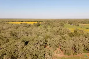 15631 Fm 682 - Tract F, Yoakum, TX 77995 - Photo 4