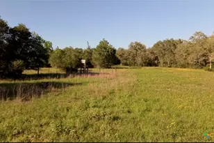 15631 Fm 682 - Tract F, Yoakum, TX 77995 - Photo 6