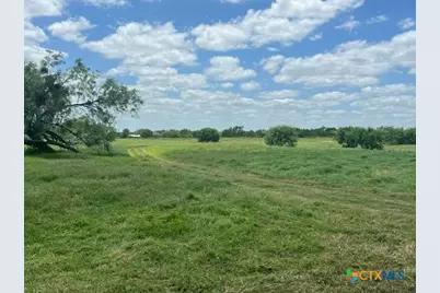4612 County Road 117, Floresville, TX 78114 - Photo 4