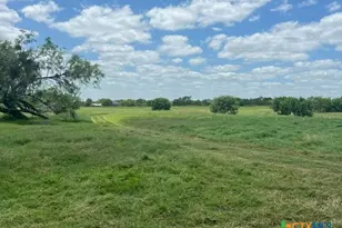 4612 County Rd 117, Floresville, TX 78114 - Photo 4