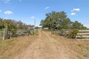 4612 County Rd 117, Floresville, TX 78114 - Photo 32