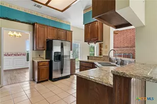 4612 County Rd 117, Floresville, TX 78114 - Photo 10